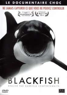 Blackfish