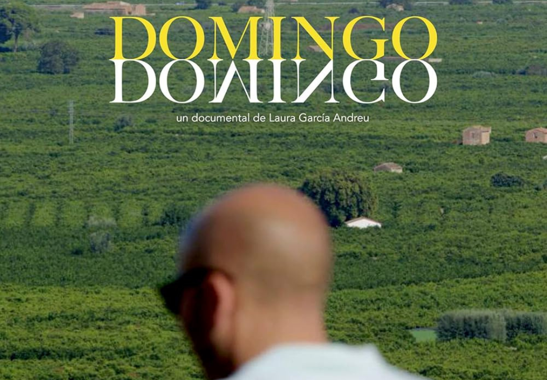 DOMINGO VIGNETTE