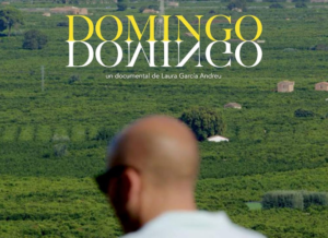 DOMINGO VIGNETTE