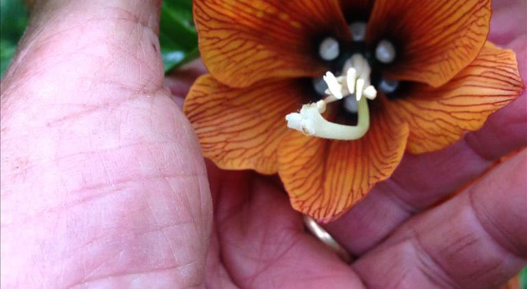 Arfuyen au loin de K. Bellan