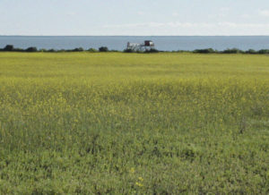 Il y a... Une pensée de l'incertitude de C. Barani