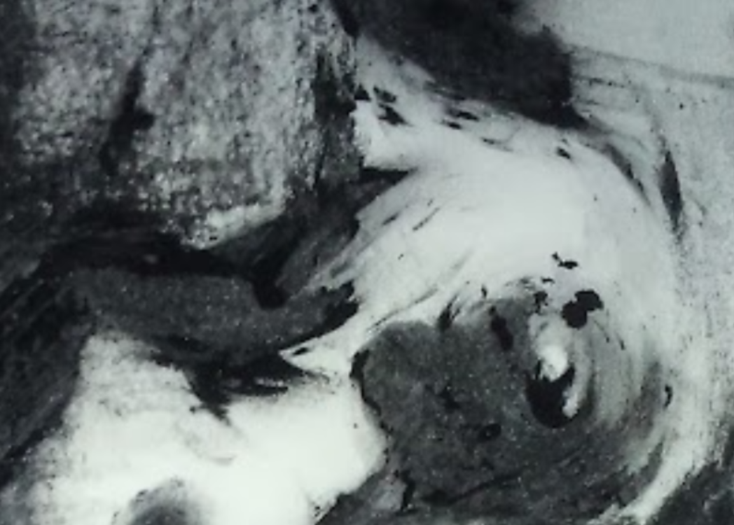 ACT - vignette cycle