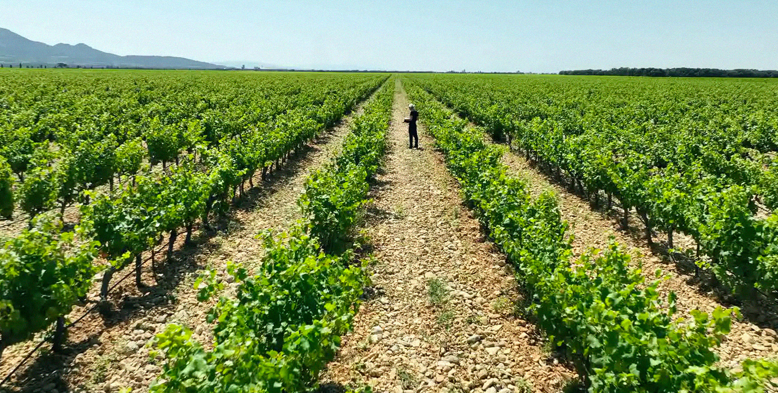 Visage d'architecte - Ivry Serres de B. Jourdan