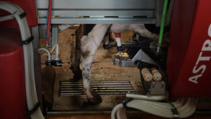Agrilogistics