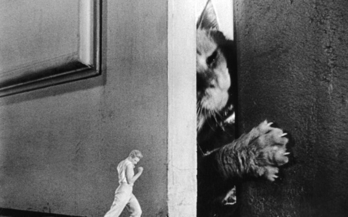 L'homme qui rétrécit