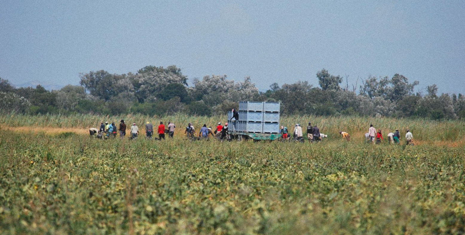 Travailleurs détachés